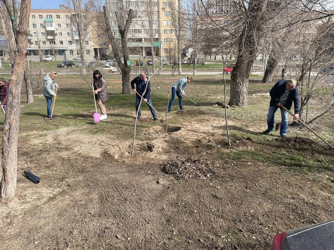 Неожиданно: чиновники вышли убрать центр Волгограда