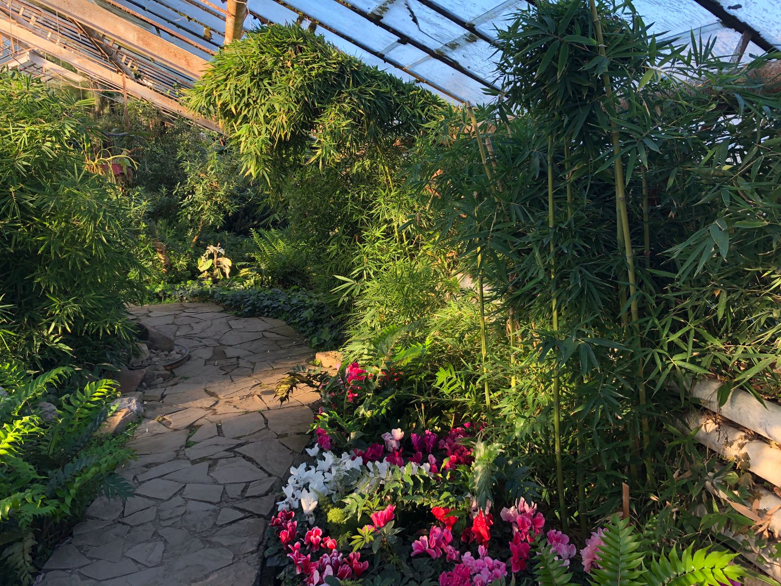 Настоящая романтика: волгоградцы смогли попасть в цветочный рай