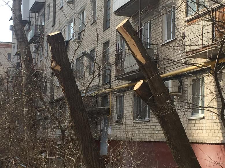 Волгоградские пенсионеры недовольны результатами борьбы с коронавирусом