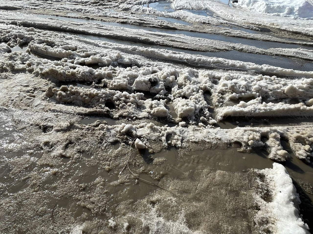 Волгоград утонул в непрофессионализме мэра Владимира Марченко