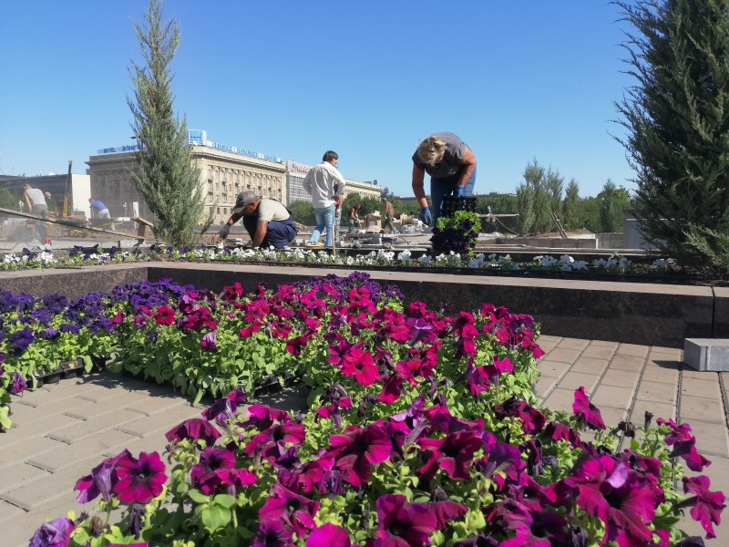 Через несколько дней откроется новая прогулочная зона у собора Невского в Волгограде