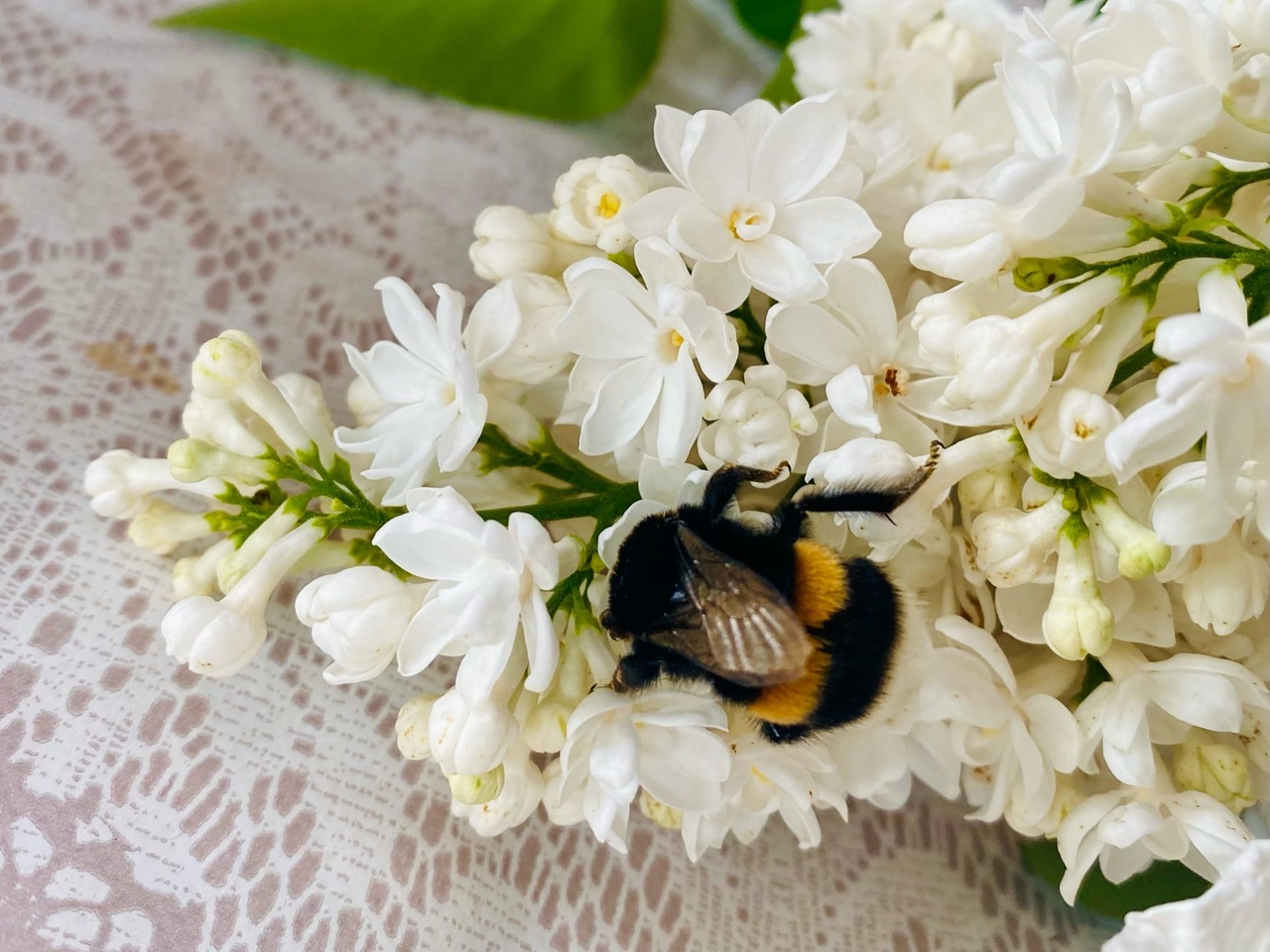 Бывшего высокопоставленного чиновника прокуратура Волгоградской области собирается сажать за игнор