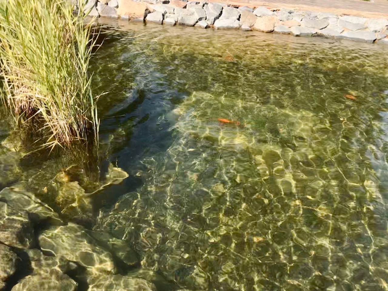 Получали бесплатно, а людей заставляли платить: МУП качал воду из скважин и карманов волгоградцев