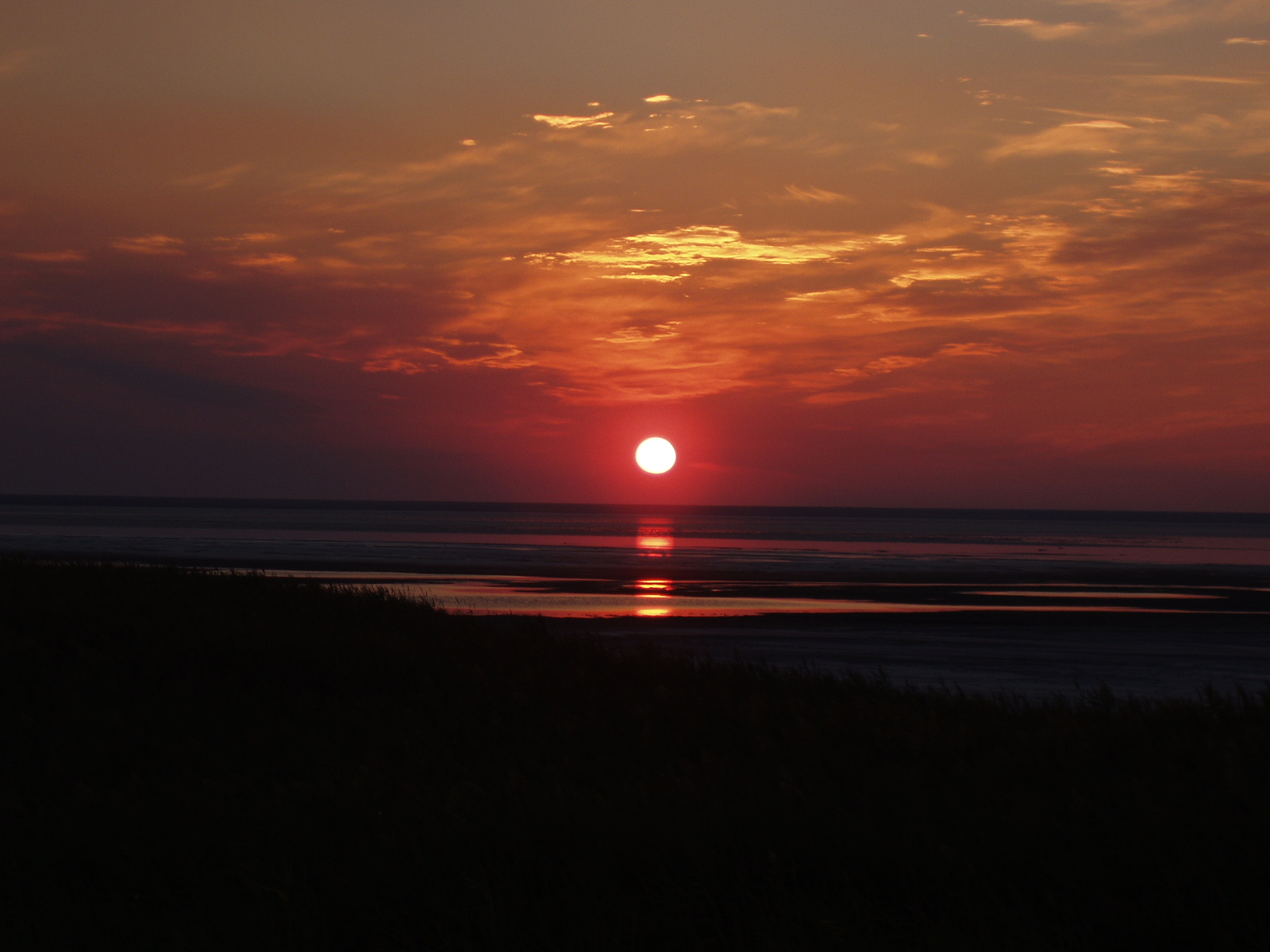 Волгоградский парк «Эльтонский» закрыл три популярных места для туристов