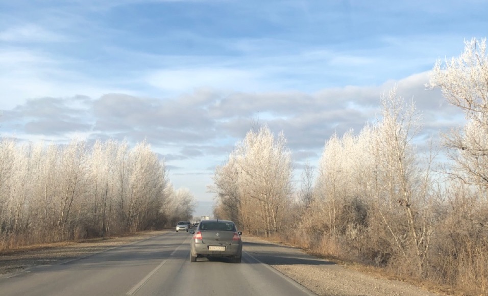 Сохраняется плюсовая температура в Волгоградской области