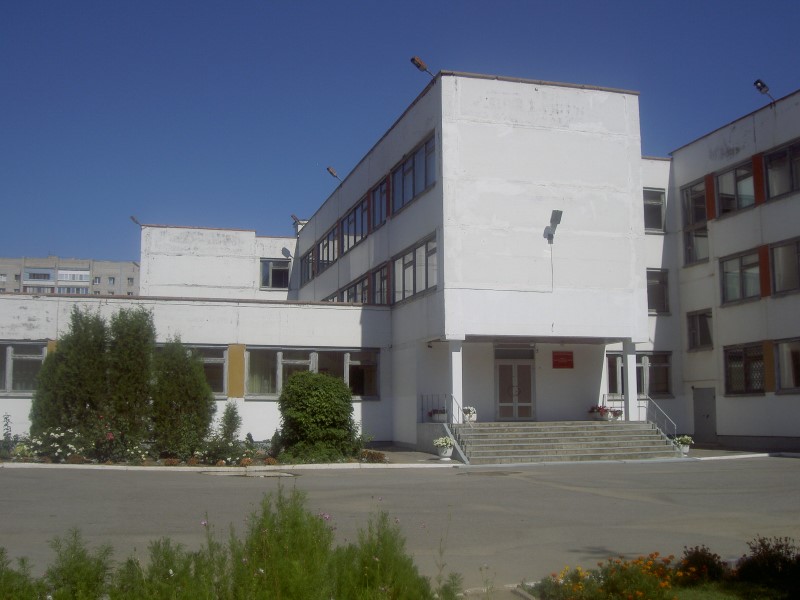 Дважды стобалльник и больше двадцати результатов за 90: волгоградский лицей бьет рекорды по ЕГЭ