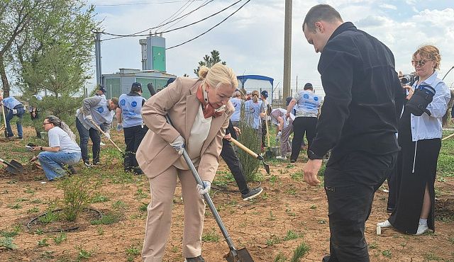 Сад памяти высадил Волгоградский Экосовет