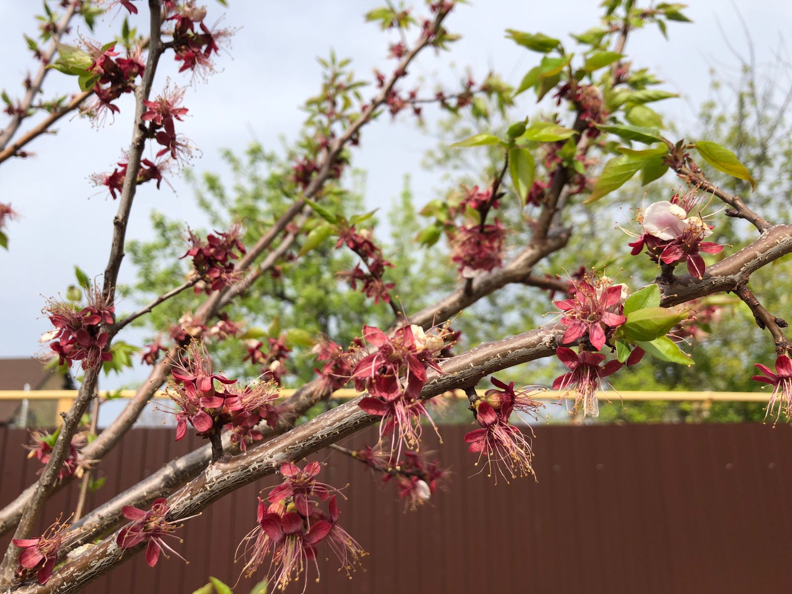 Волгоградцев ждёт большой открытый концерт 9 мая с яркой «звездой» 