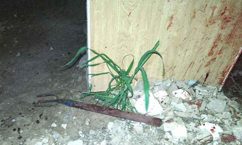 Волжанка жестоко избила овчарку: даме грозит колония