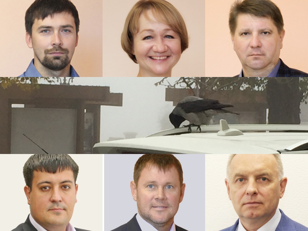 Дорвавшись до власти, депутаты Волжской гордумы кинулись скупать квартиры и машины