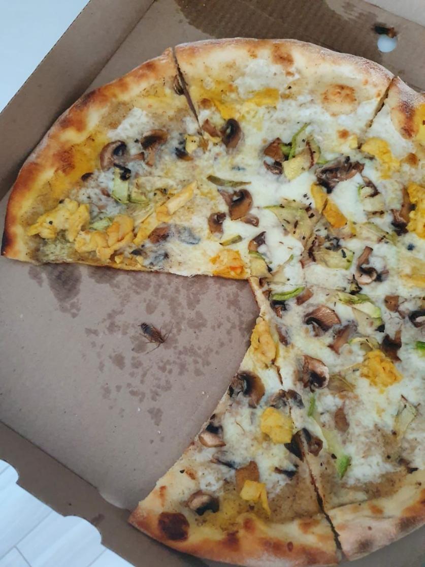 Как с таким жить: у кого из волгоградских чиновниц муж сидит на шее