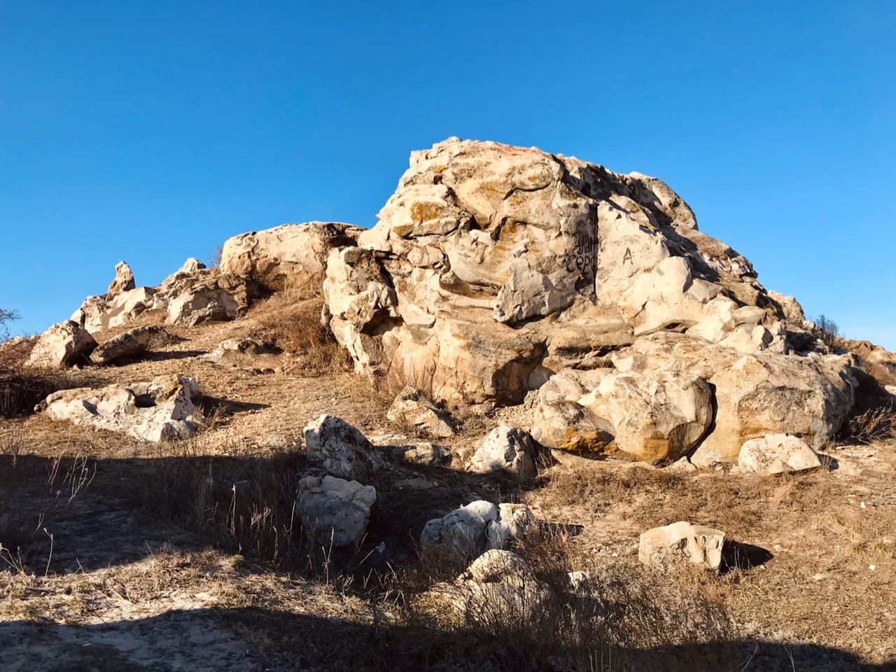 Режим ЧС введен в Волгоградской области из-за засухи