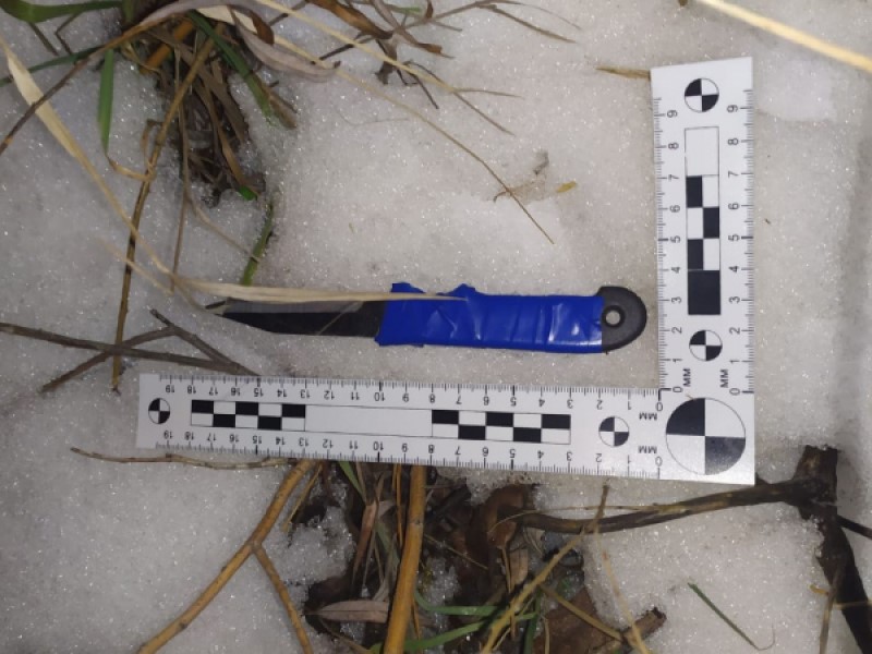 «Угрожал ножом и требовал кошельки»: учащийся колледжа «кошмарил» студентов ВолГУ