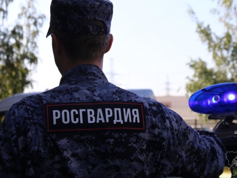 Трое волжан обстреляли влюбленную пару из окна авто