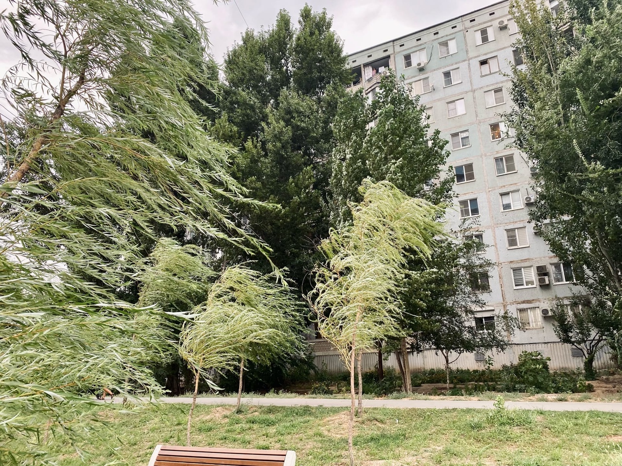 Ураганный ветер обрушится на Волгоград и область 22 октября