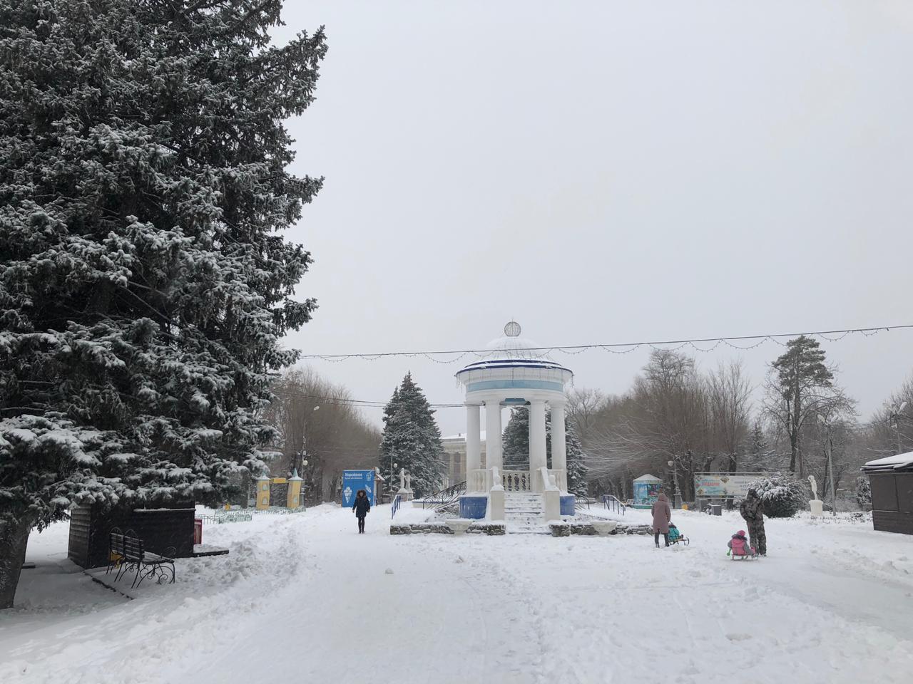 Снегопад и метель обрушатся на Волгоград