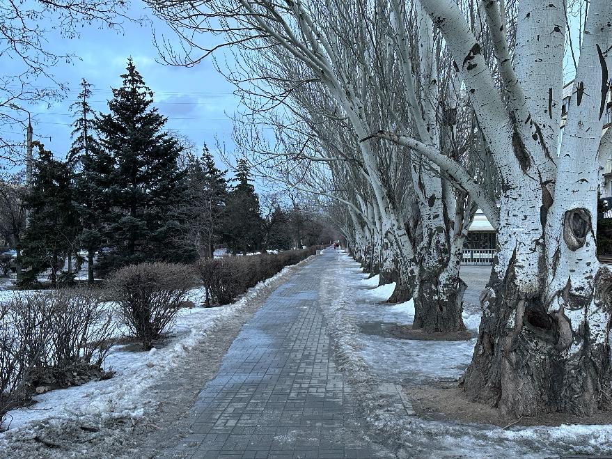 В Волгограде ледовая катастрофа