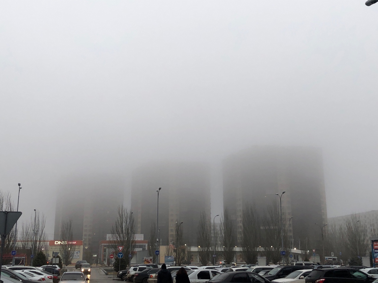 В Волгоградской области выпадет снег при +8º