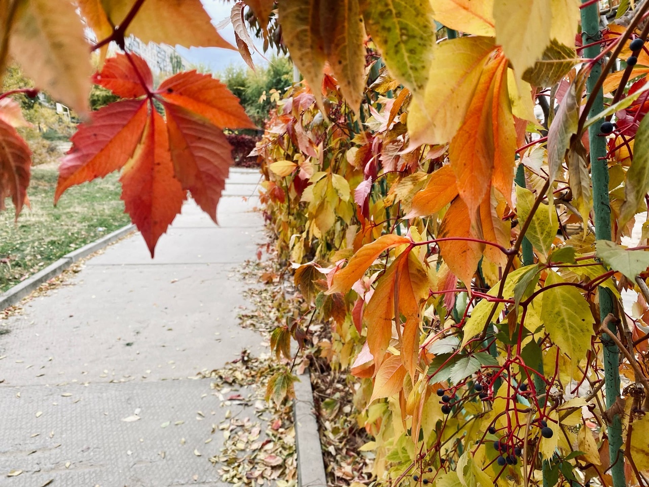 Ниже нуля опустятся столбики термометров в Волгоградской области в разгар дня