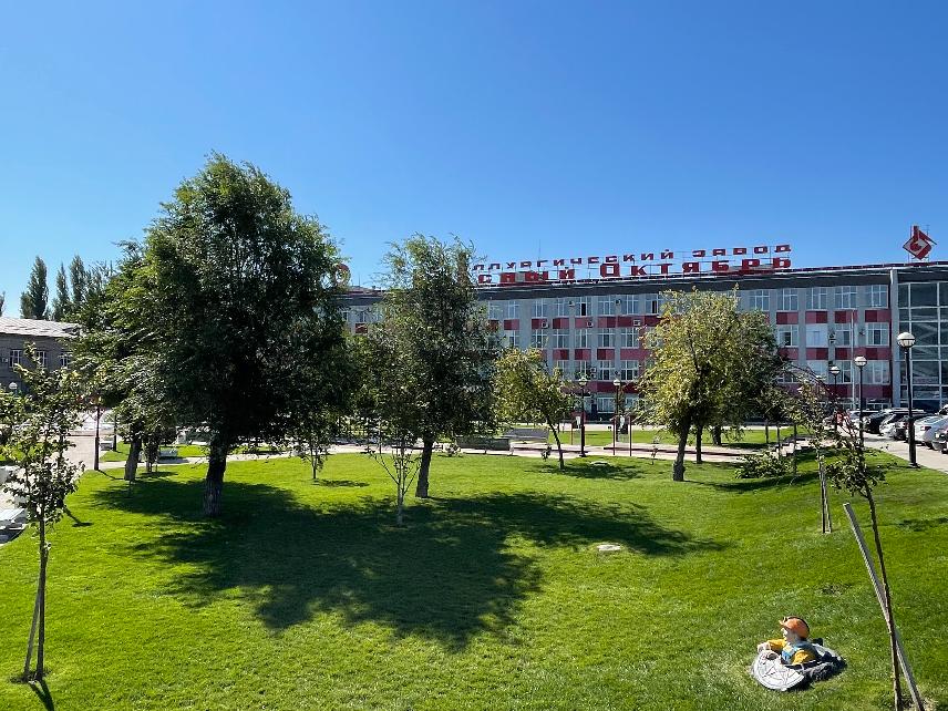 Представители трудовых династий «Красного Октября» высадили аллею