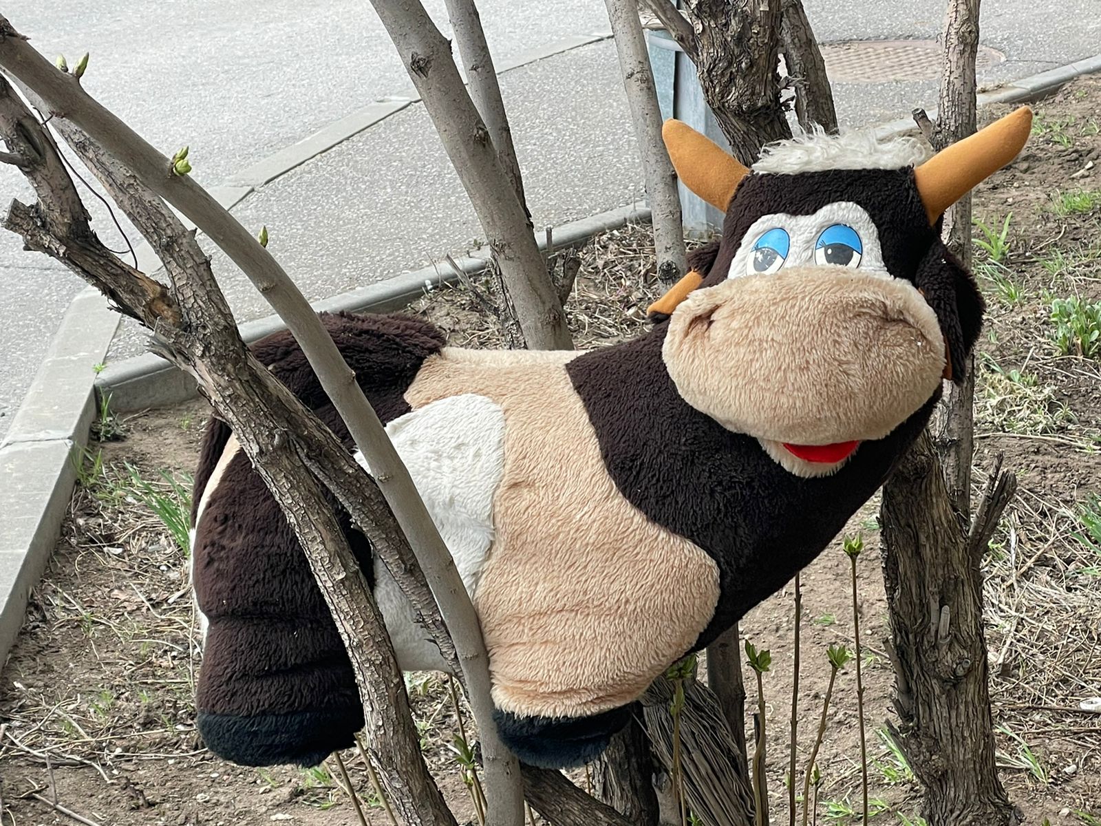 В Волгоградской области стало больше психов