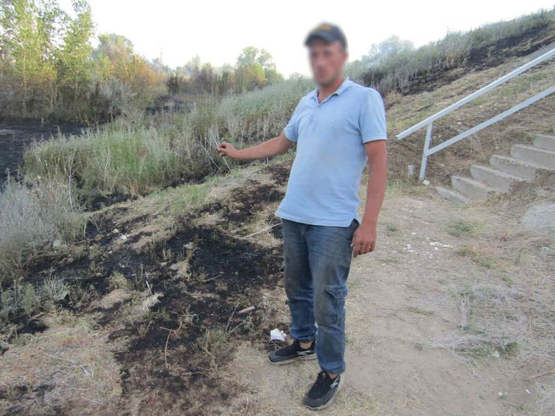 Из-за тополиного пуха и кривых рук выгорело 800 «квадратов» Волго-Ахтубинской 