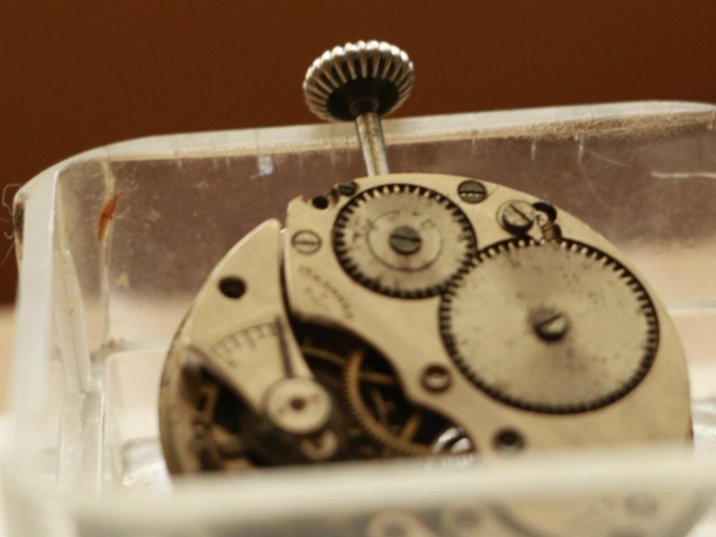 Волгоградские сторонники московского времени обратились к Элле Памфиловой