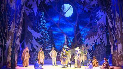 Учреждения культуры Волгоградской области подготовили большую новогоднюю программу