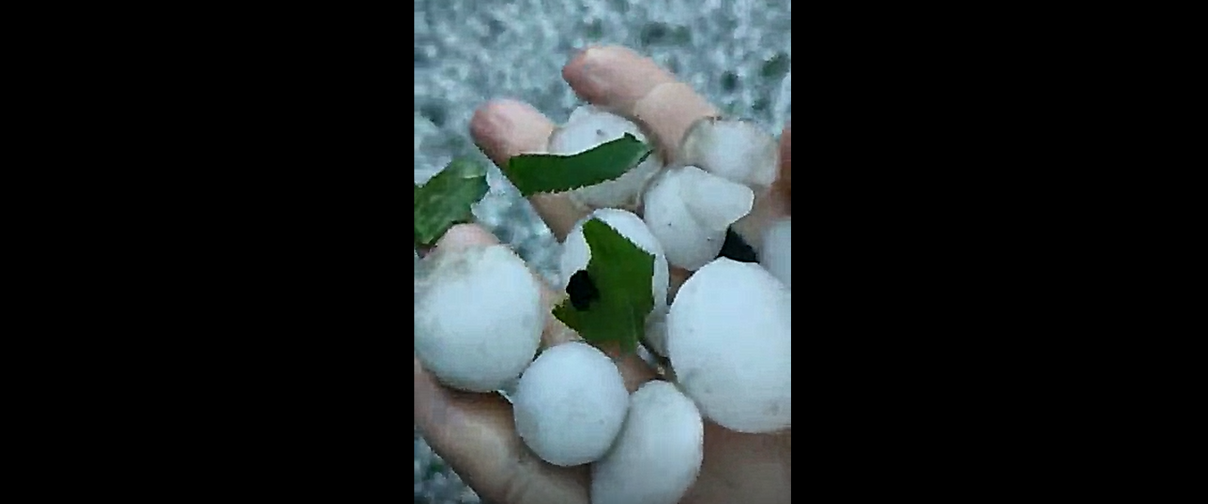 Выпавший крупный град в Волгоградской области уничтожил хозяйство 