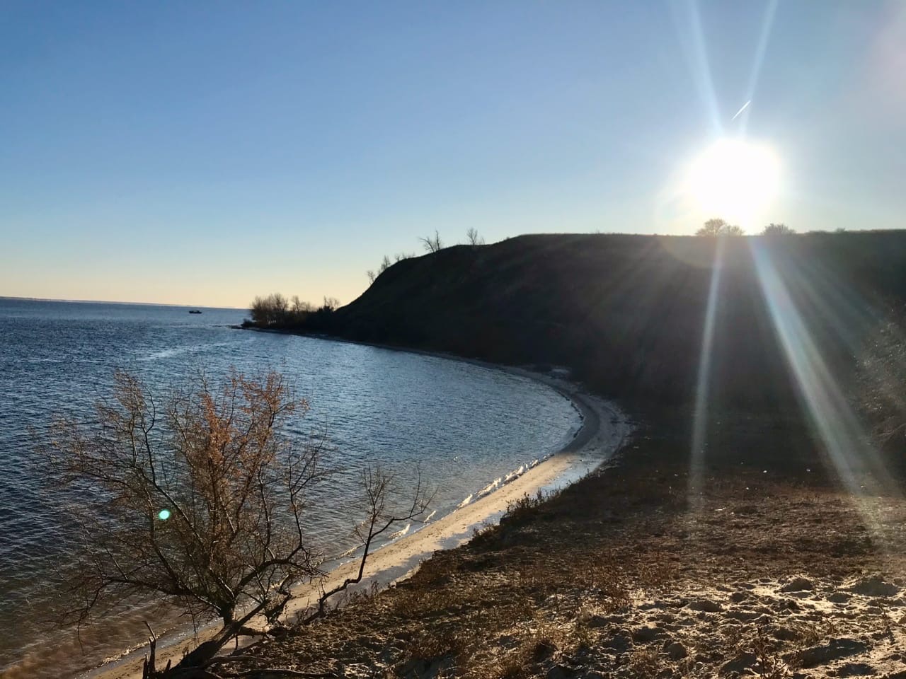 Виноградный фестиваль пройдет в Дубовке в эти выходные