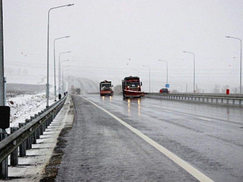 Мокрый снег с туманом и сильным ветром будут терзать Волгоградскую область все выходные