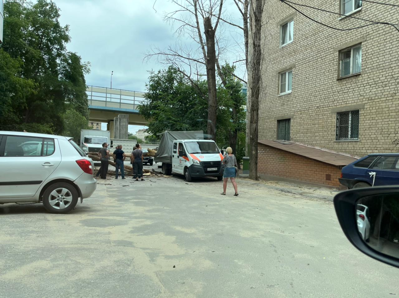 Дерево рухнуло на машину «Концессий теплоснабжения» в центре Волгограда