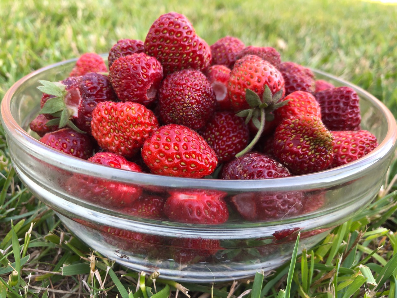 Волгоградскую область накроют грозы в летнюю субботу