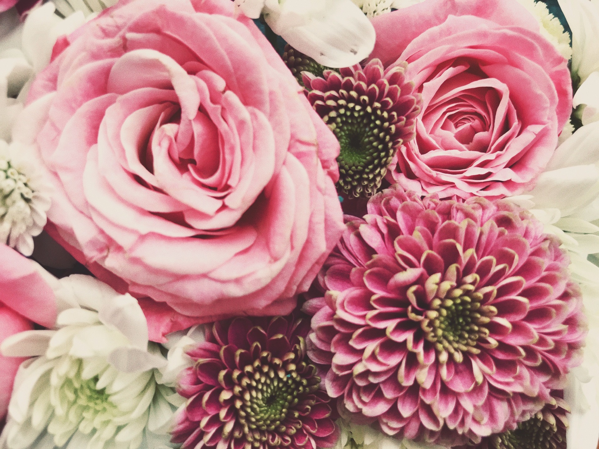 В Волгограде «Царицынская опера» открыла двери для зрителей