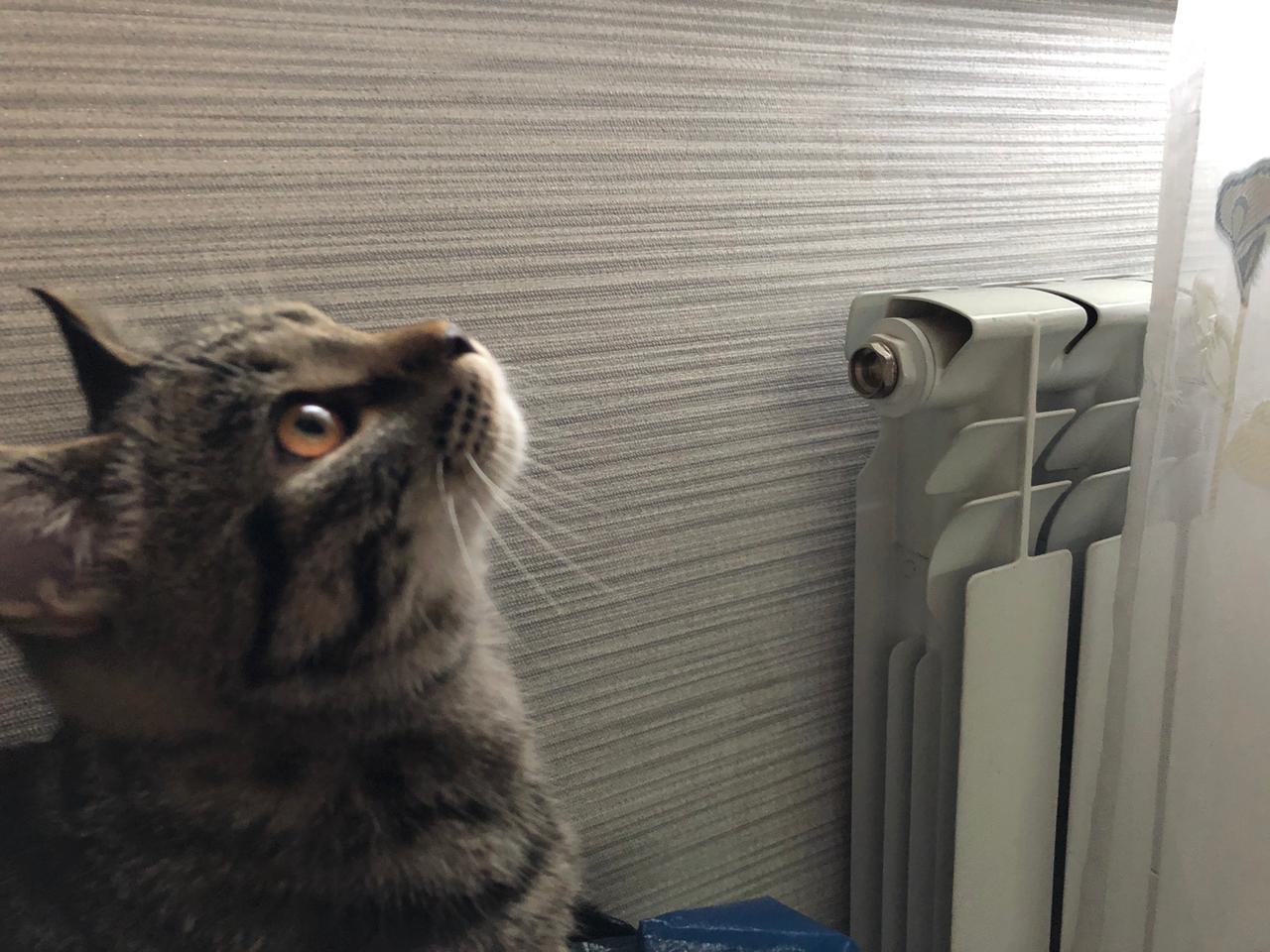 В минусовую температуру 20 тысяч волгоградцев остались без отопления