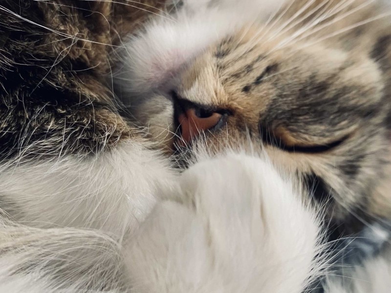 Метелью заканчивается неделя в Волгоградской области