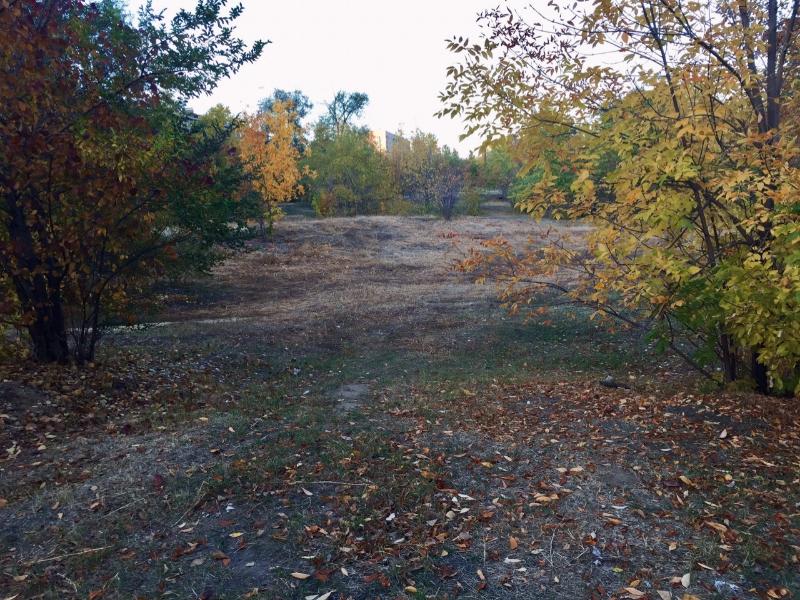 «Деревья сохранить по максимуму»: улицу в Волгограде превратят в парк