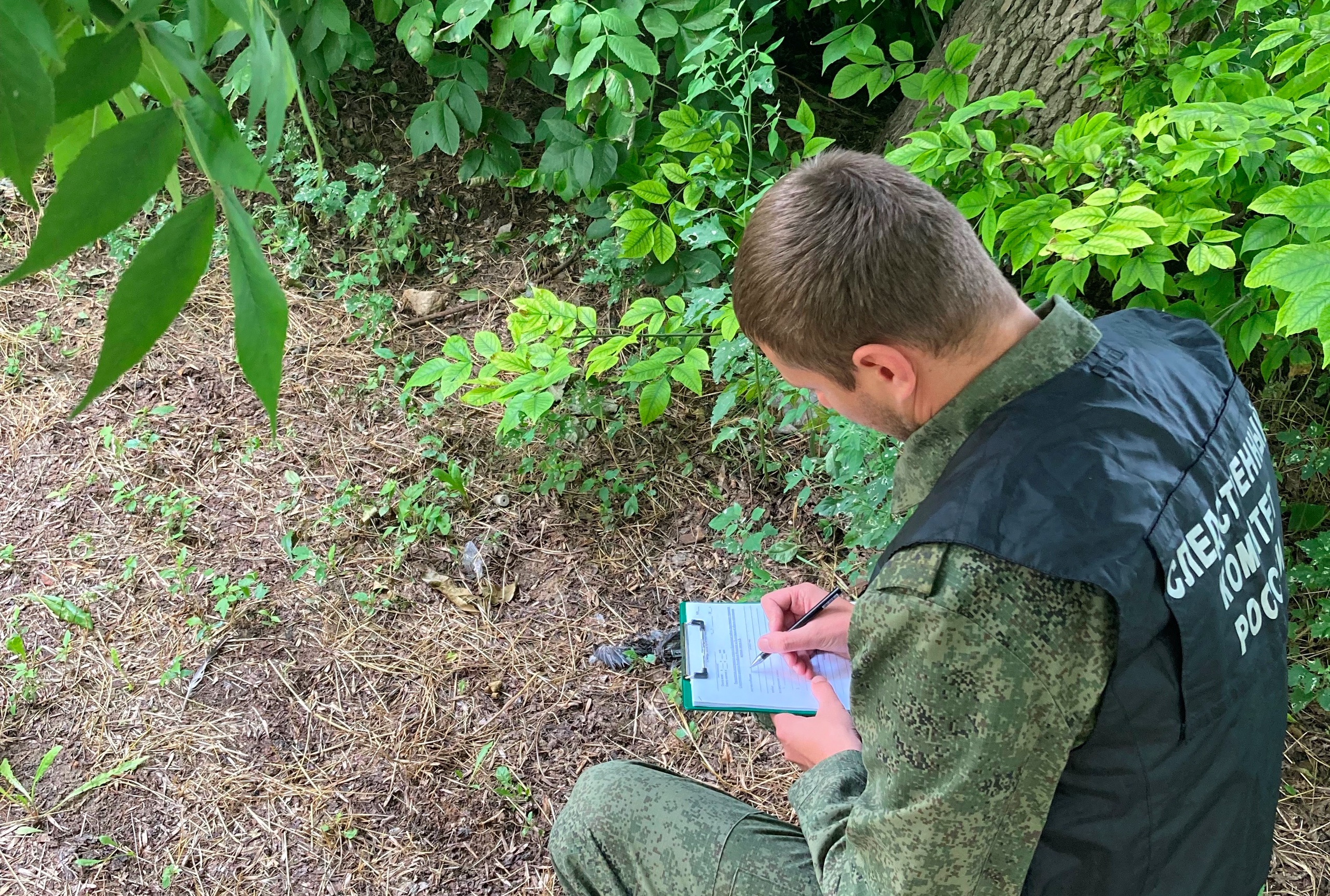 Волгоградец погиб при чистке септика с помощью карбида кальция Волгоградец погиб при чистке септика с помощью карбида кальция