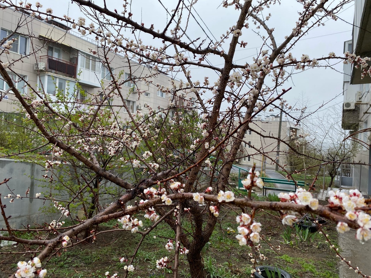 Май в Волгоградской области начинается с похолодания -3º