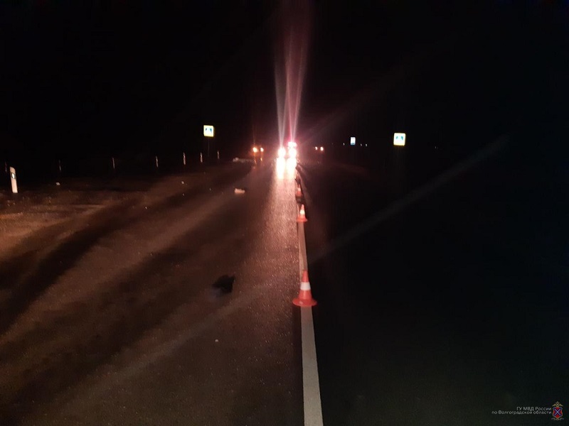 Под покровом ночи под Волгоградом насмерть сбили 47-летнего пешехода