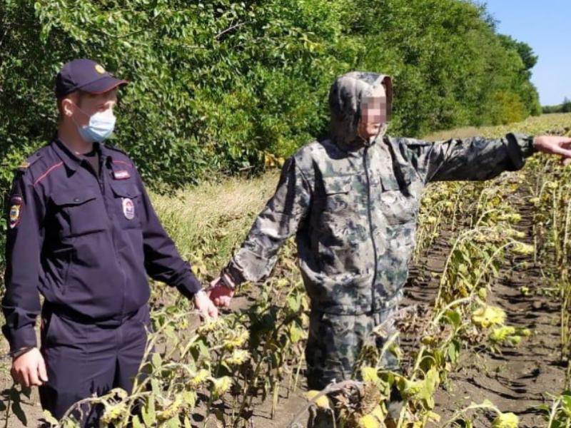 Бывшим уголовникам грозит до 10 лет лишения свободы за наркоплантации в Волгоградской области 