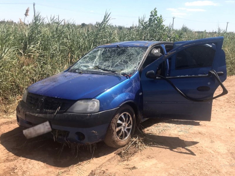 Мальчику было десять, девочкам — 11 и 17 лет: установлены личности утонувших в Renault под Волгоградом