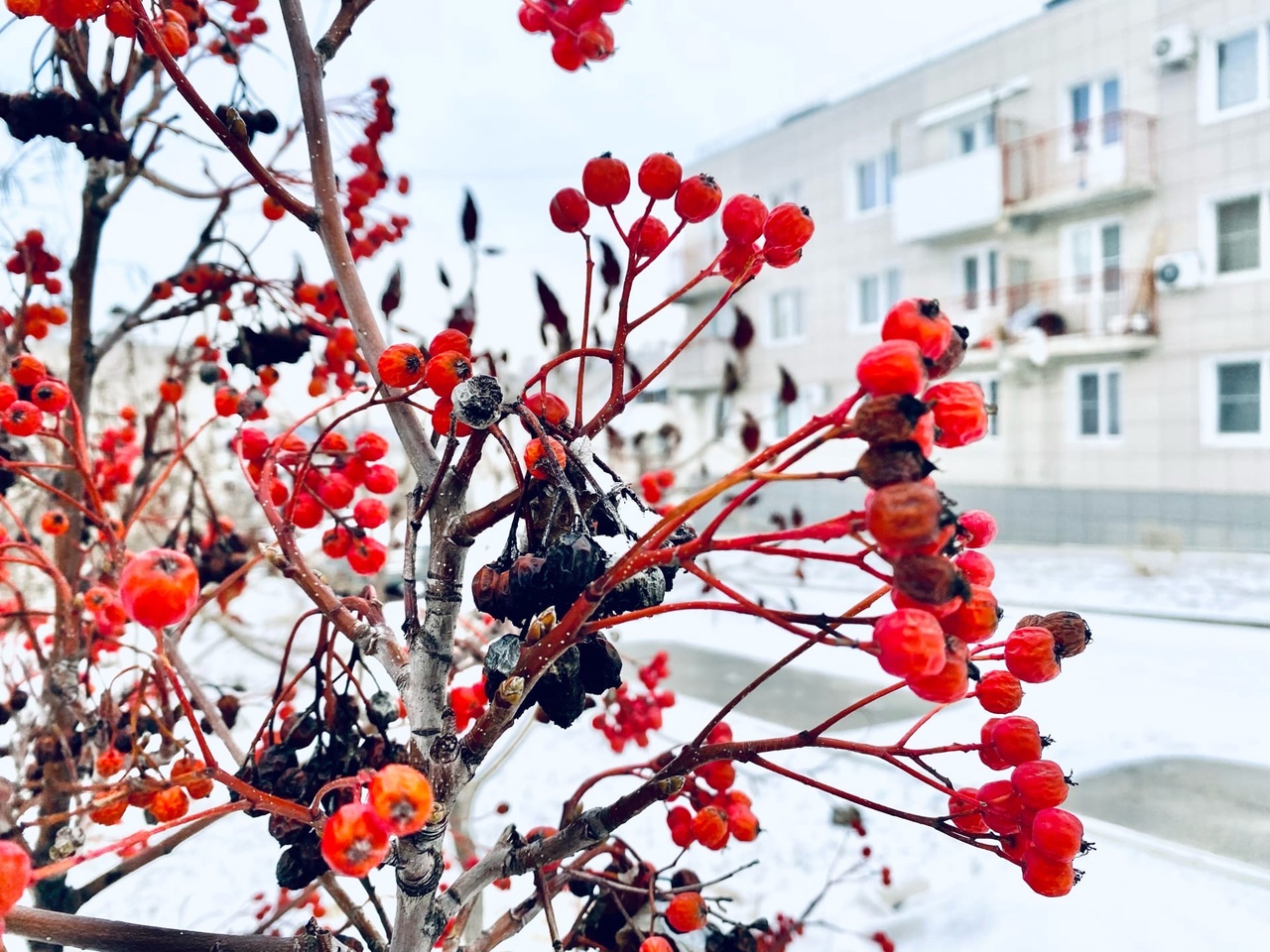 Зампрокурора области Мосин выслушает проблемы жителей сел онлайн