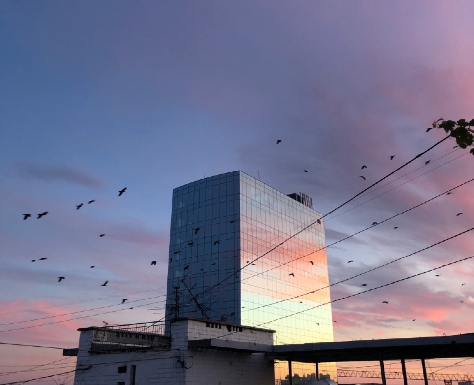 Морозы никак не придут в Волгоградскую область