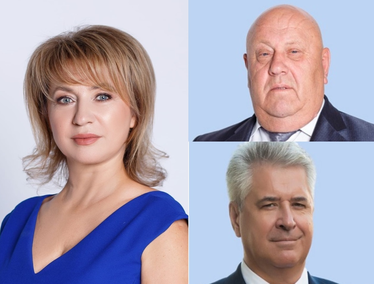 Депутаты облдумы бросили волжан на растерзание бродячим псам