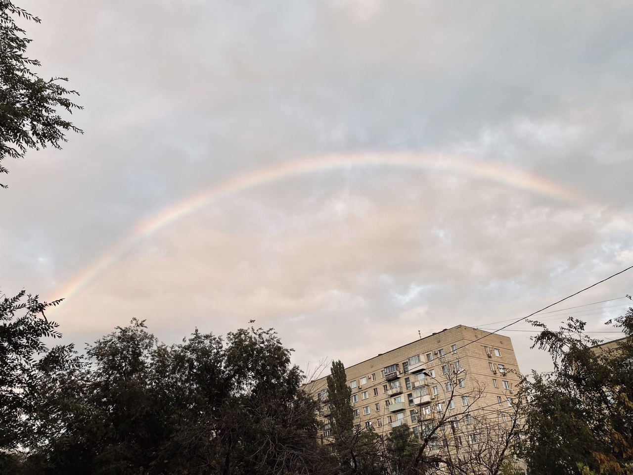 Половина жителей Волгоградской области ради веселья готовы рисковать жизнью и тратить деньги
