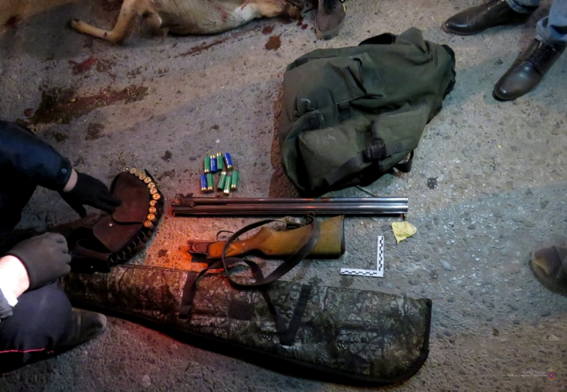 Житель Волгоградской области может получить до двух лет колонии за незаконную охоту на косулю