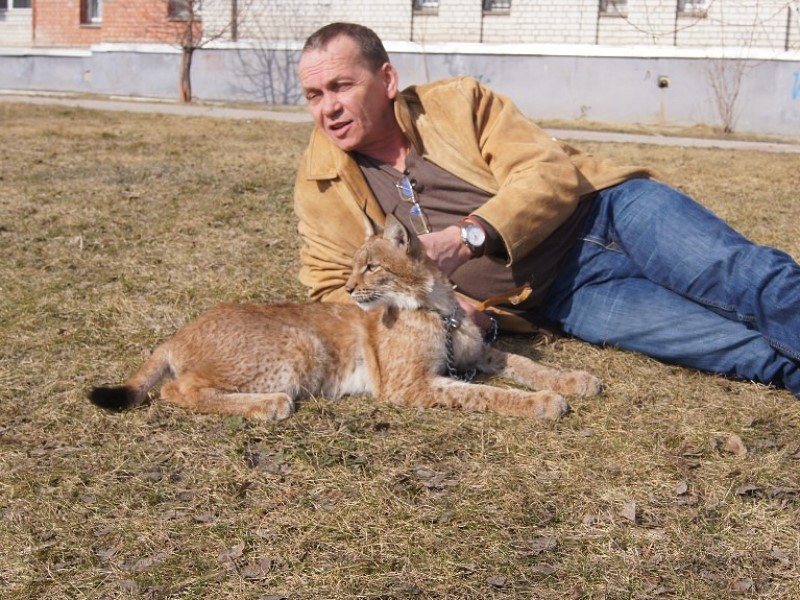Дело рассмотрит судья Молоканова: начинается суд над директором Горпитомника в Волгограде