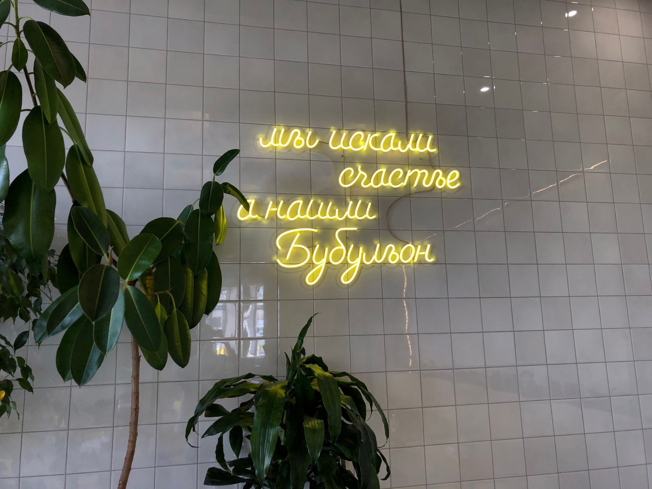 Волжане ополчились против столовой в их доме