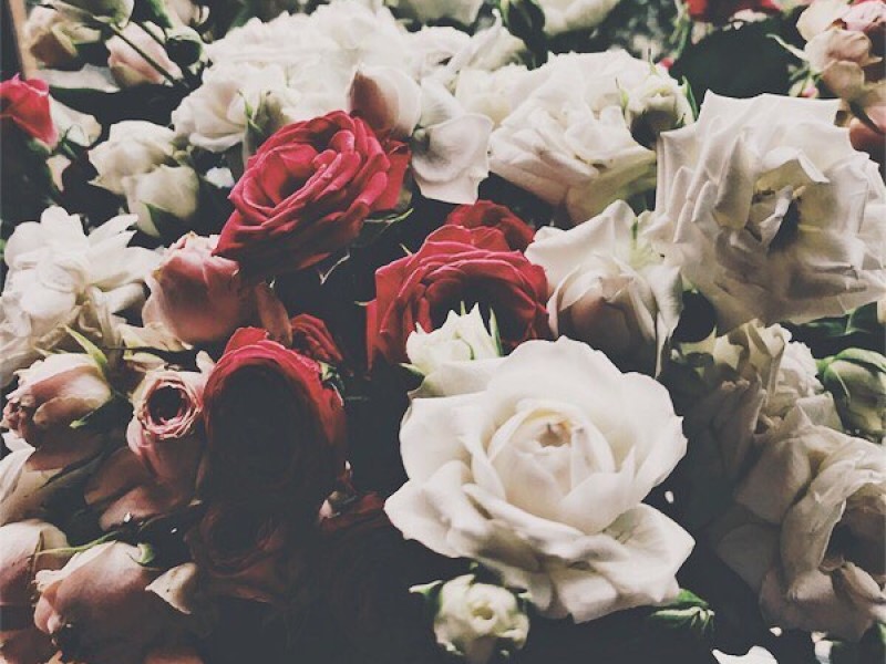 Волгоградка с девятью судимостями изрезала пожилого возлюбленного за критику в нецензурной форме